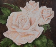 hvid-rose