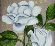 Hvide roser m/guld