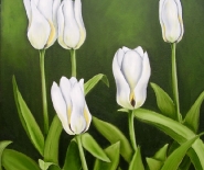 Hvide tulipaner