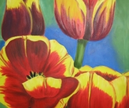 Rød/gule tulipaner