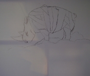 Rhinos on alpetop