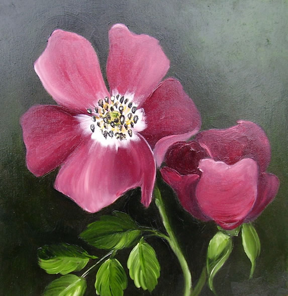 Rose vinrød