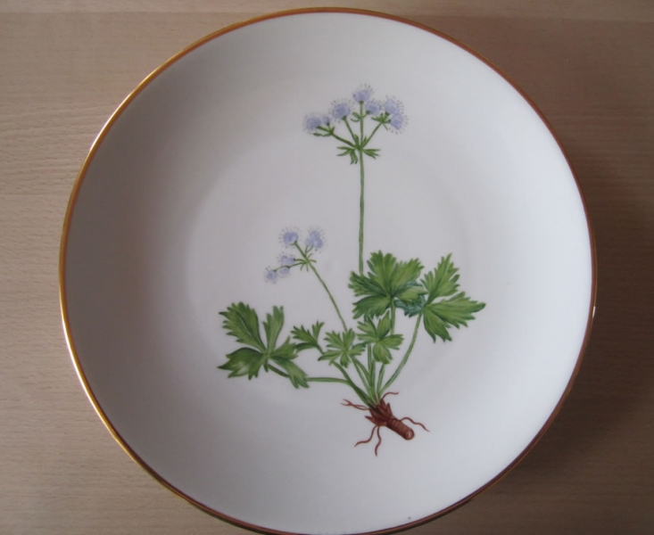 blå blomst