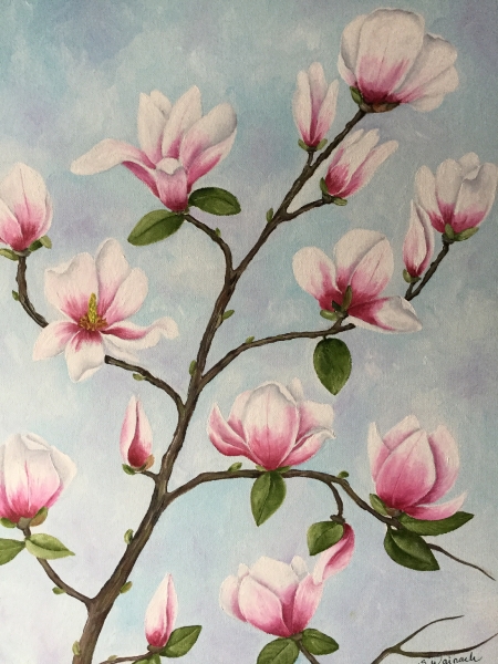 Magnolie