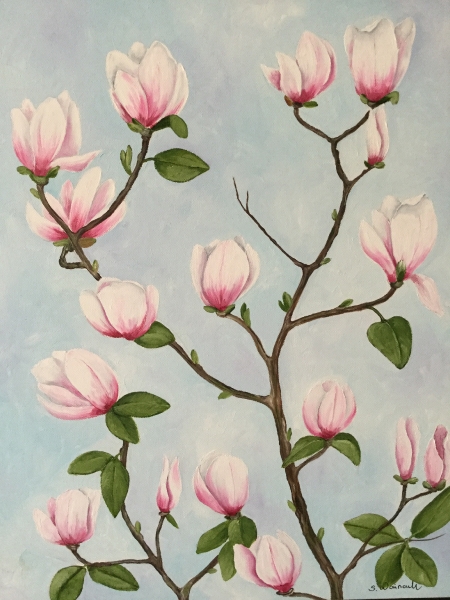 Magnolie