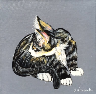 Kat
