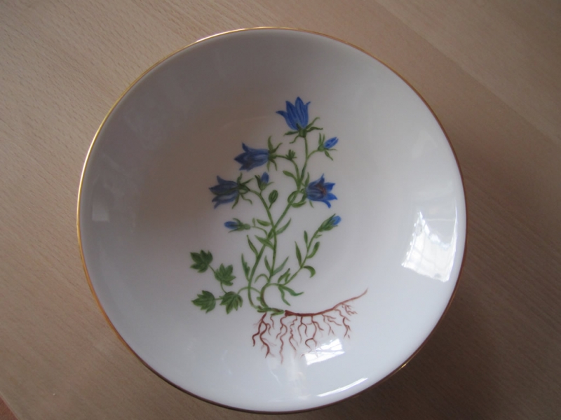 Klokkeblomst