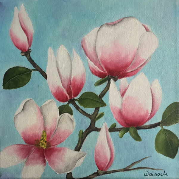 Magnolie