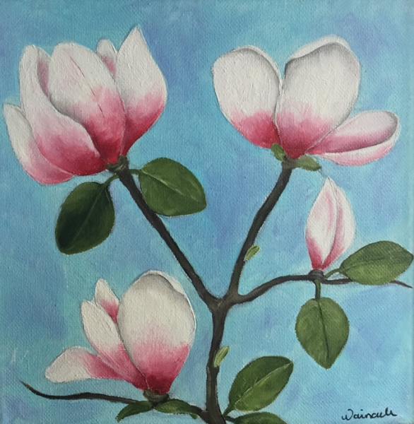 Magnolie