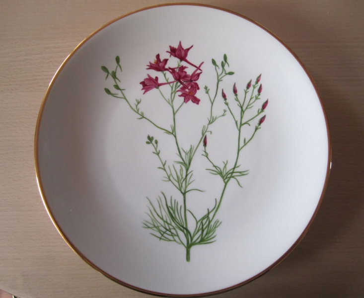 Dansk flora