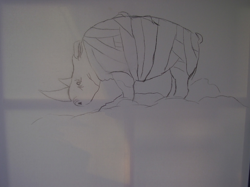 Rhinos on alpetop
