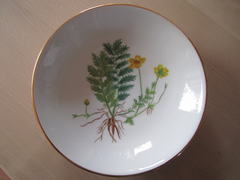 smørblomst