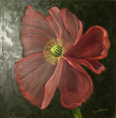 Valmueblomst