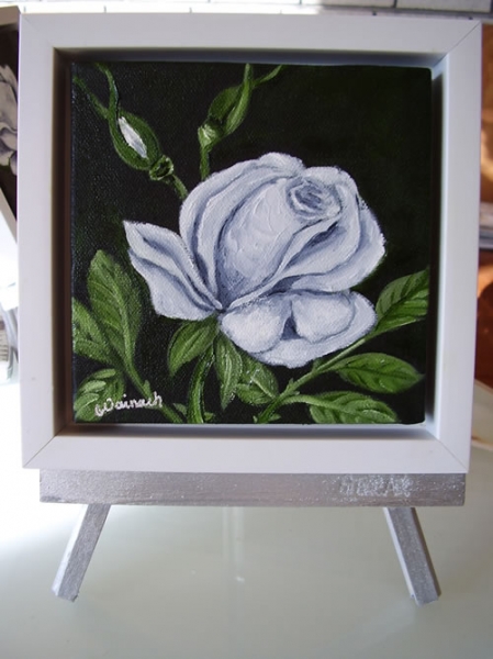 Hvid rose