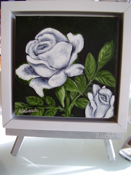 Hvid rose