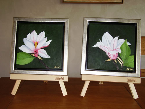 Magnolie
