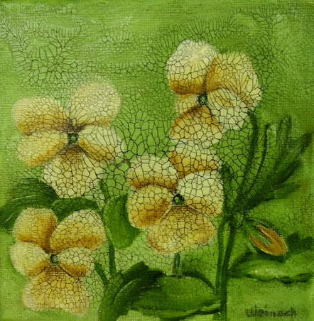 Gule stedmoderblomster