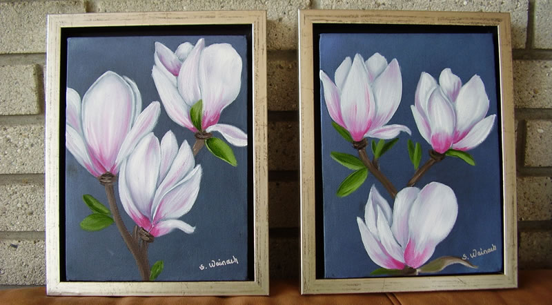 Magnolie