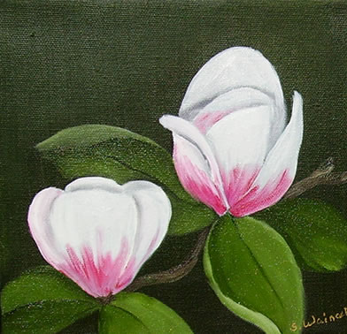 Magnolie