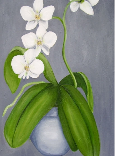 Hvid orchide i krukke