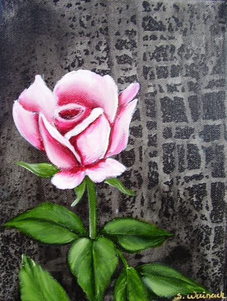 Lyserød rose