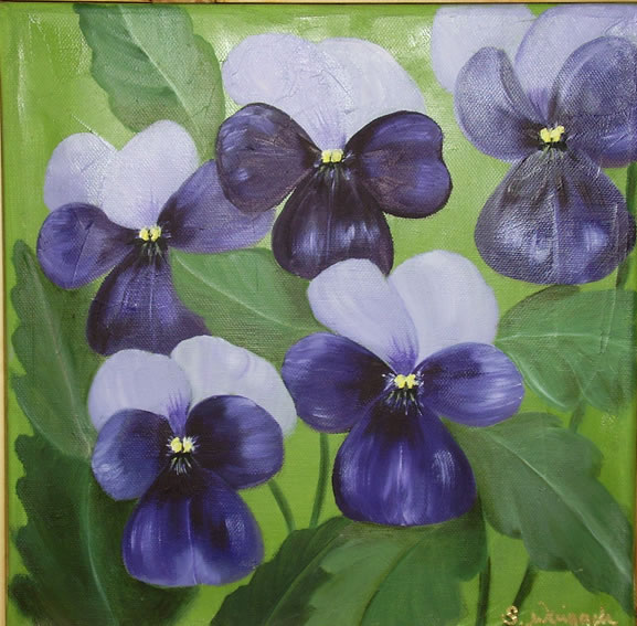 Lilla stedmoderblomster