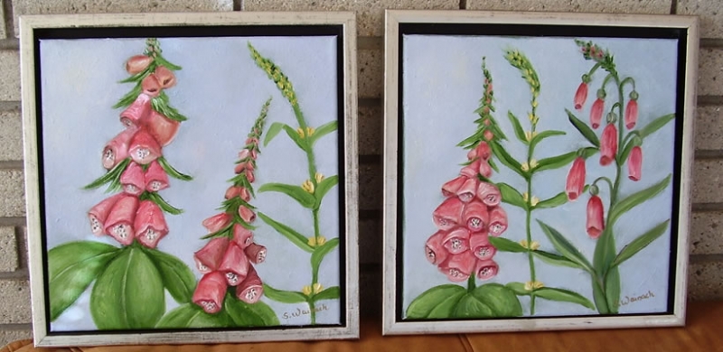 Digitalis/fingerbøl