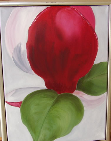 Magnolie