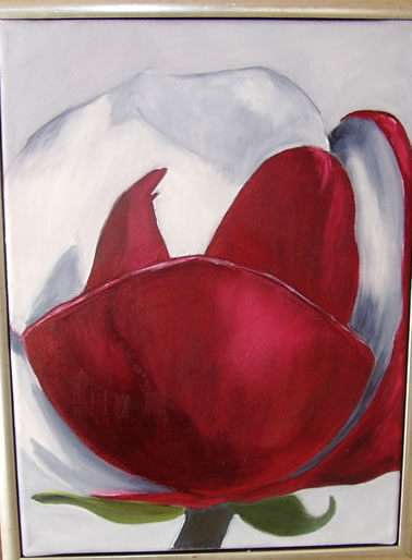 Magnolie