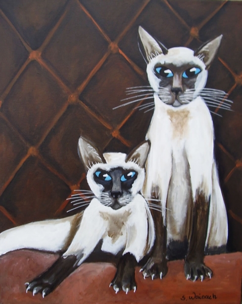 Siamese cats