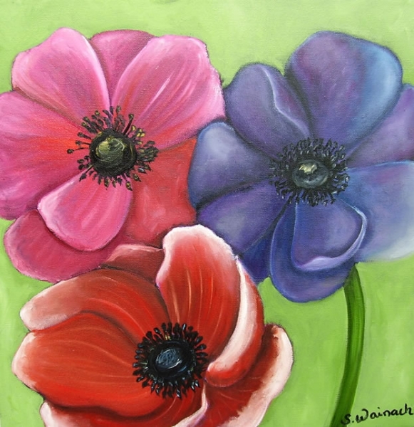 Franske anemoner