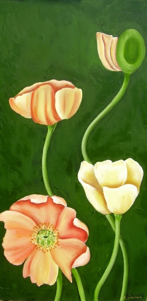 Valmuer 10