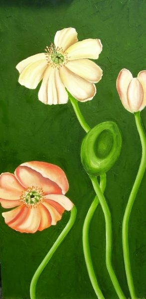 Valmuer 11