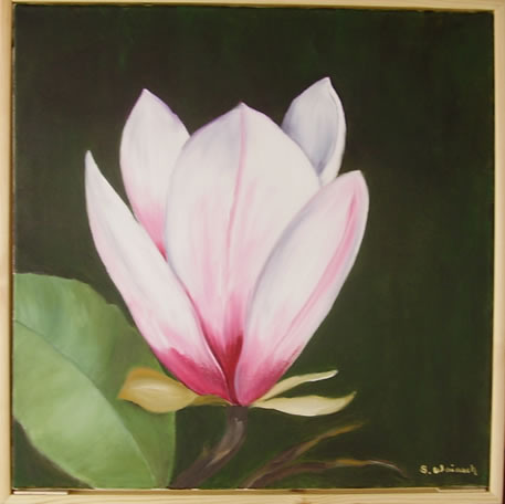 Magnolie
