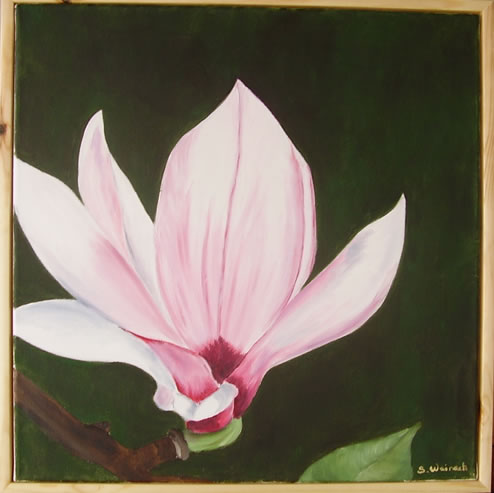Magnolie