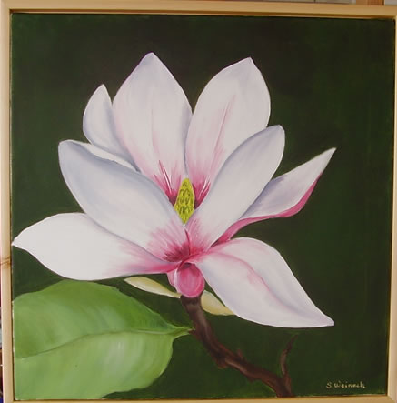 Magnolie