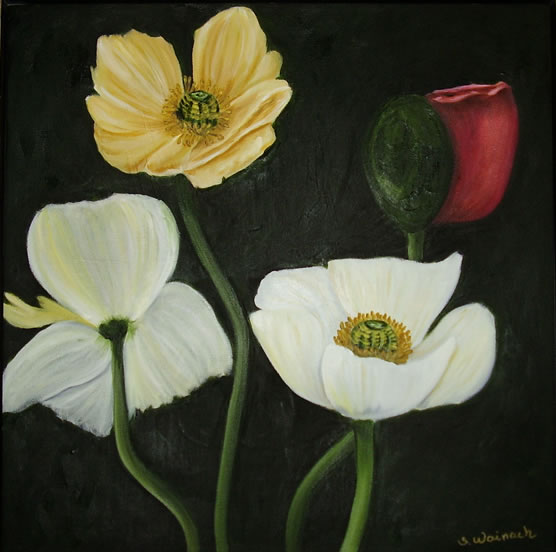 Valmuer 3