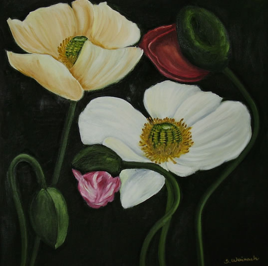 Valmuer 4