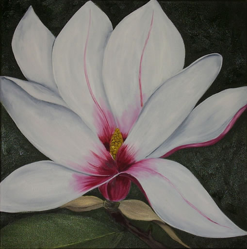 Magnolie