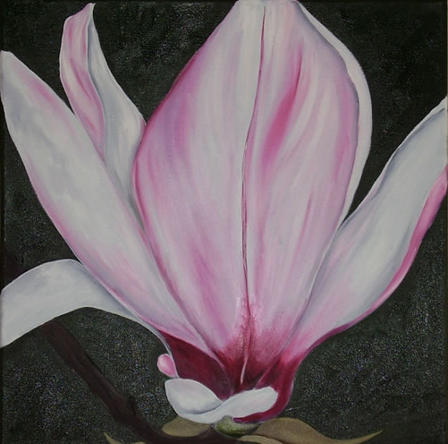 Magnolie