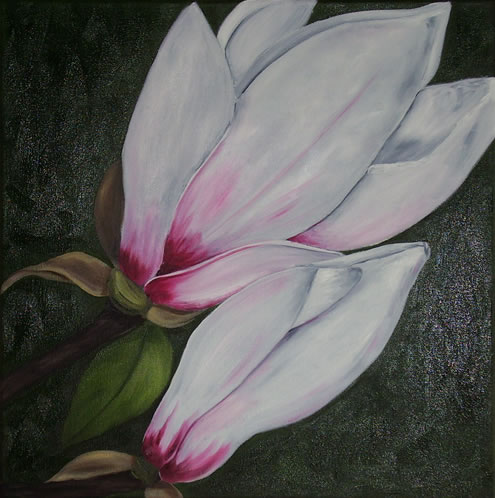 Magnolie