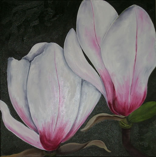 Magnolie