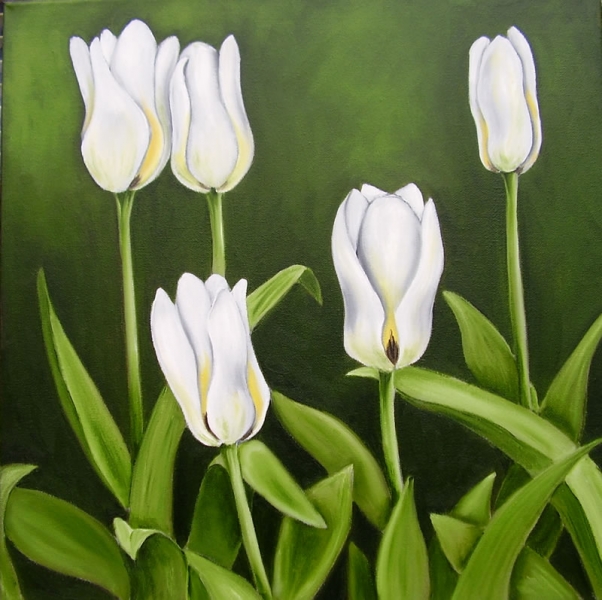 Hvide tulipaner