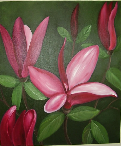 Magnolie