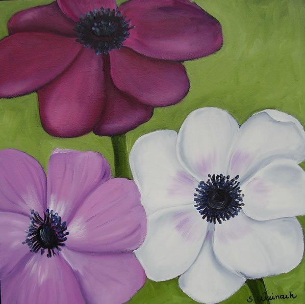 Franske anemoner