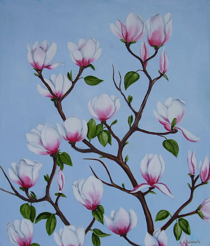 Magnolie