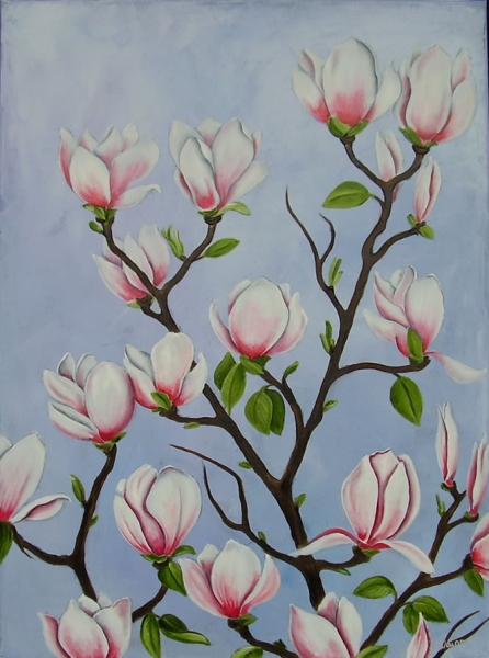 Magnolie