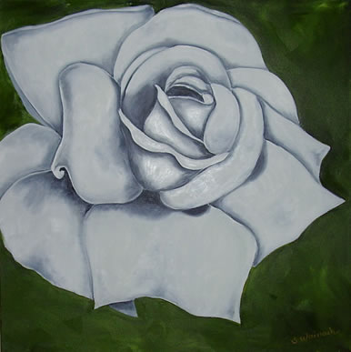 Hvid rose