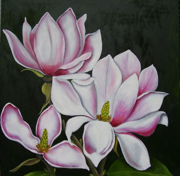 Magnoliegren
