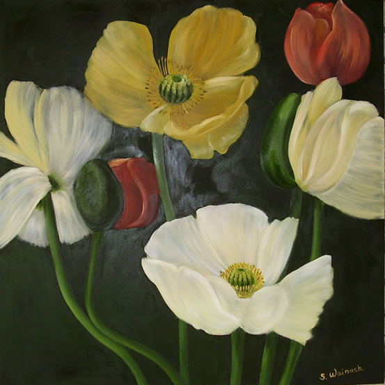 Valmuer